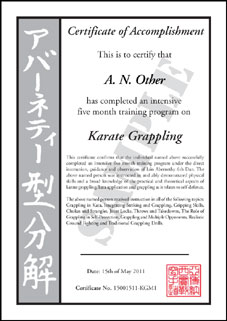 Karate Grappling Program